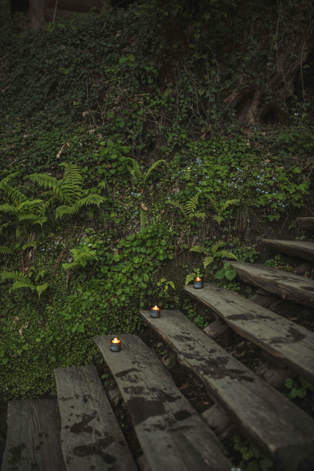 Everything You Lived Was Preparation