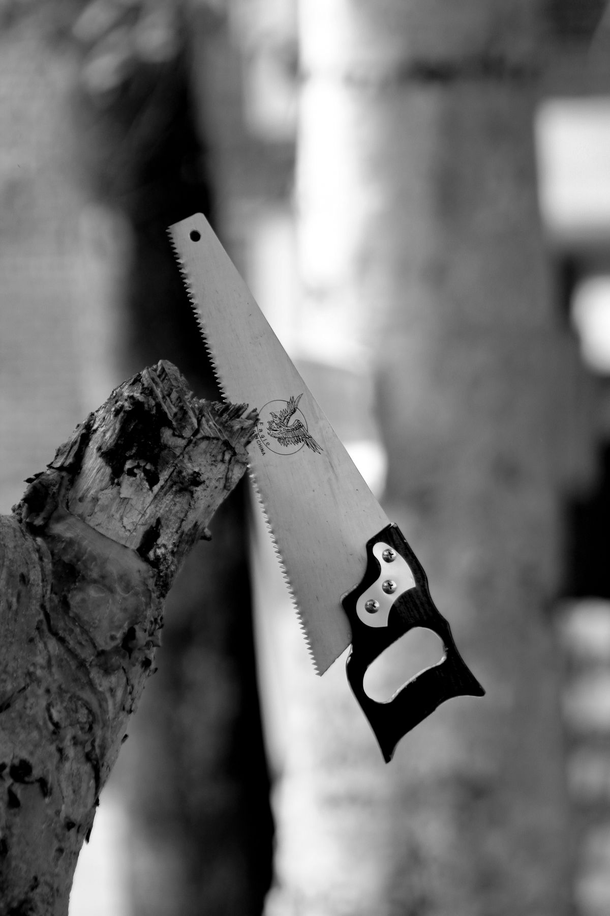 The Knot and the Saw: Why Do We Make Life Harder Than It Needs to Be?